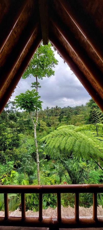 Second Home Bungalows Tetebatu Luaran gambar