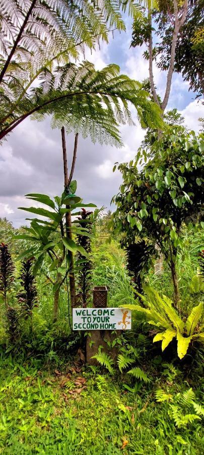 Second Home Bungalows Tetebatu Luaran gambar