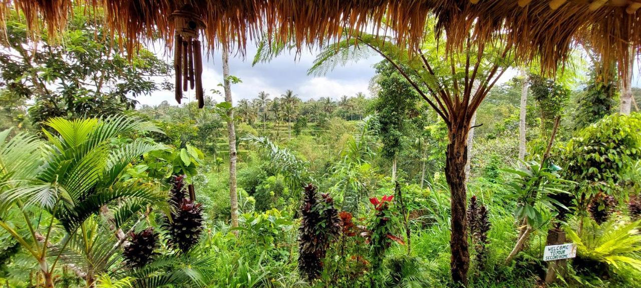 Second Home Bungalows Tetebatu Luaran gambar
