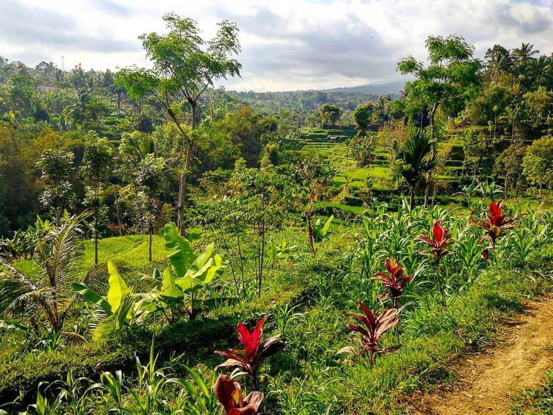 Second Home Bungalows Tetebatu Luaran gambar
